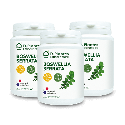 Pack 3 Boswellia 3 x 200 gélules