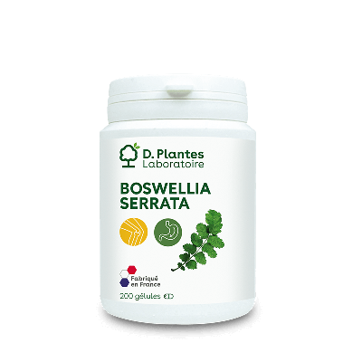 Boswellia 200 gélules