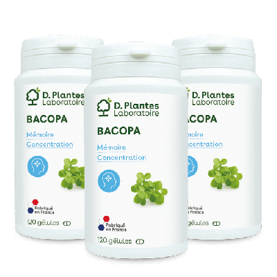 Pack 3 Bacopa monnieri 3 x 120 gélules