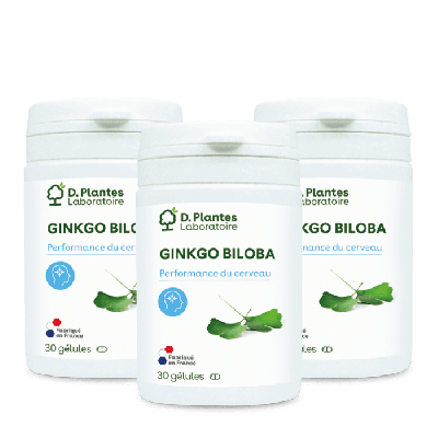 Pack 3 Ginkgo biloba extrait 3 x 30 gélules