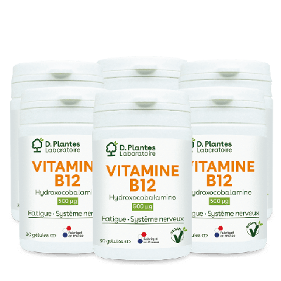 Pack 6 Vitamine B12++ 30 gélules