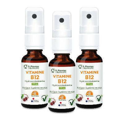 Pack 3 vitamine B12 spray 20 ml