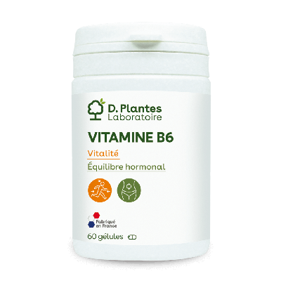 Vitamine B6 60 gélules