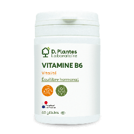 Vitamine B6 60 gélules
