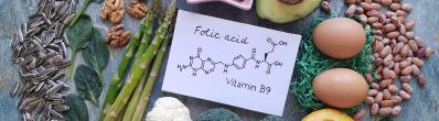 Acide folique : le guide complet de la vitamine B9 