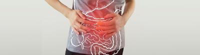 Zoom sur le lien entre le système immunitaire, l'appareil digestif et le microbiote intestinal