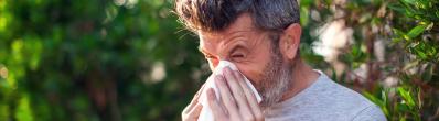 7 suppléments et vitamines à considérer pour aider contre les allergies saisonnières