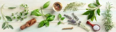 7 plantes médicinales que vous avez dans votre jardin