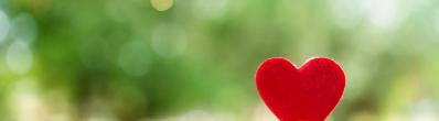 Édition spéciale homme : Santé cardiovasculaire