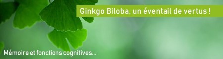 Le Ginkgo Biloba, un éventail de vertus !