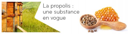 La propolis : une substance en vogue 