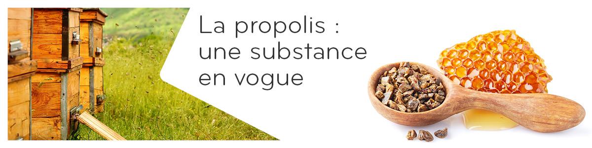 blog-propolis